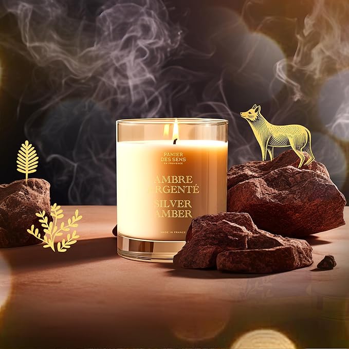 Panier des Sens - Winter Candle – Long Lasting Scented Candles for Home – Gift for Women – 100% Natural Cotton Wick – Decorative Candles Home Gifts (Silver Amber)