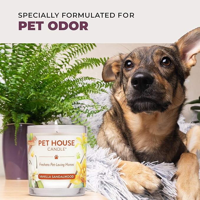 One Fur All Pet Candle 9 OZ Plant-Based Spring Candle with a 60 Hour Burn Time - BlackBerry Tea