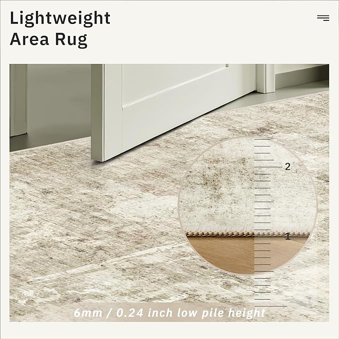 Soalmost 2x3 Washable Rugs for Kitchen, Floor, Entryway, Powder Room Small Area Rug Non-Slip Vintage Low Pile Throw Door Mat Beige/Gray