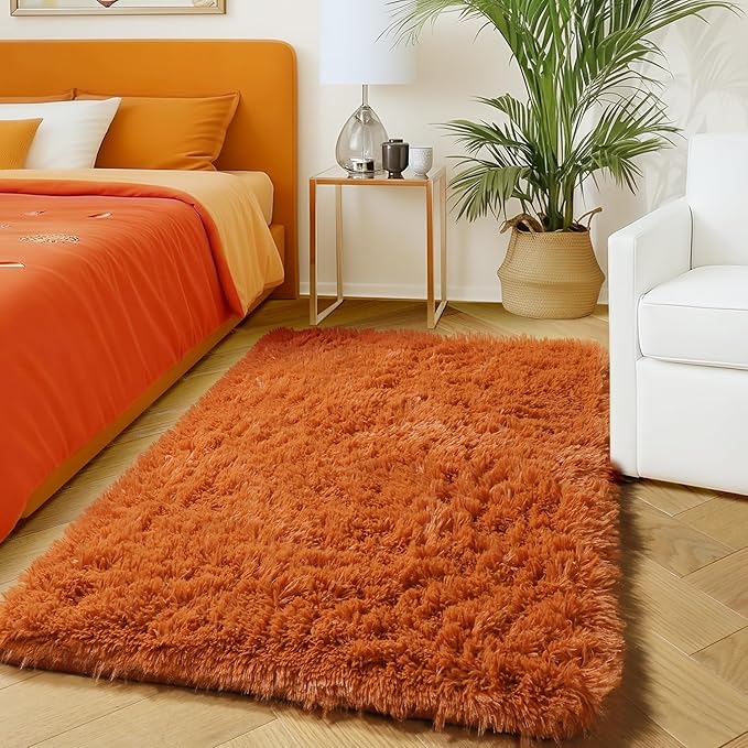 Amdrebio Burnt Orange 2x3 Small Area Rugs for Bedroom, Mini Fluffy Fuzzy Shaggy Furry Rug for Kids Room Decor Aesthetic, Cute Plush Shag Dark Orange Carpet for Door Entryway Nursery Dorm Classroom