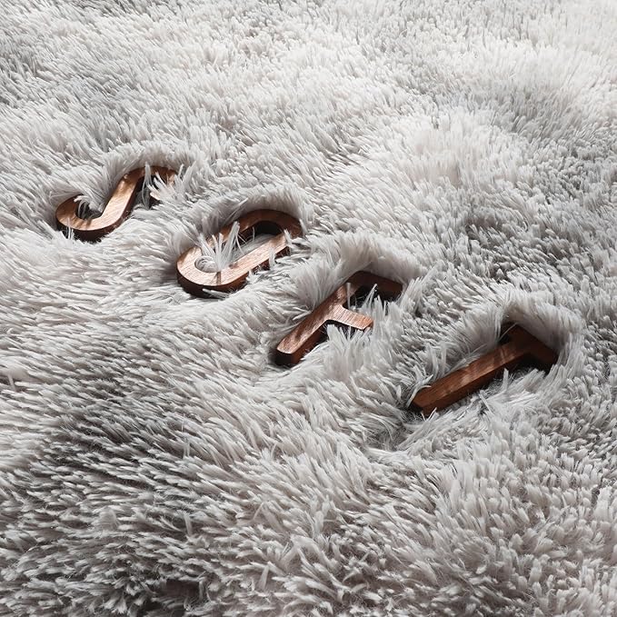Amdrebio Tie-Dyed Light Grey Area Rugs for Bedroom, Fluffy Furry Rugs for Living Room, Modern Shag Throw Rug for Kids Room Decor, Shaggy Fuzzy Carpet, Indoor Plush Rug for Dorm Classroom, 4x6 Rug