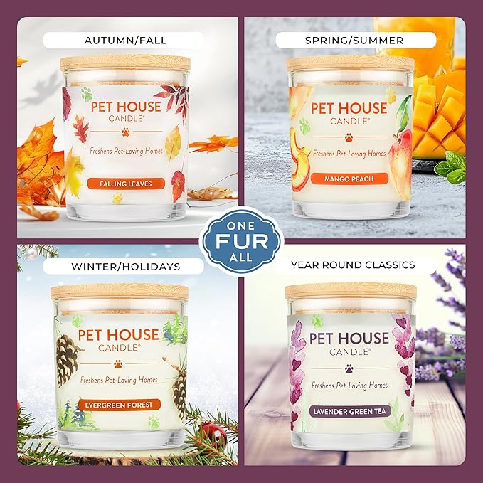 Pet House Candles, Scented Pet Friendly Candles, Clean Burning Plant-Based with a Natural Fiber Wick - BlackBerry Tea, 9 oz, 2 Pack