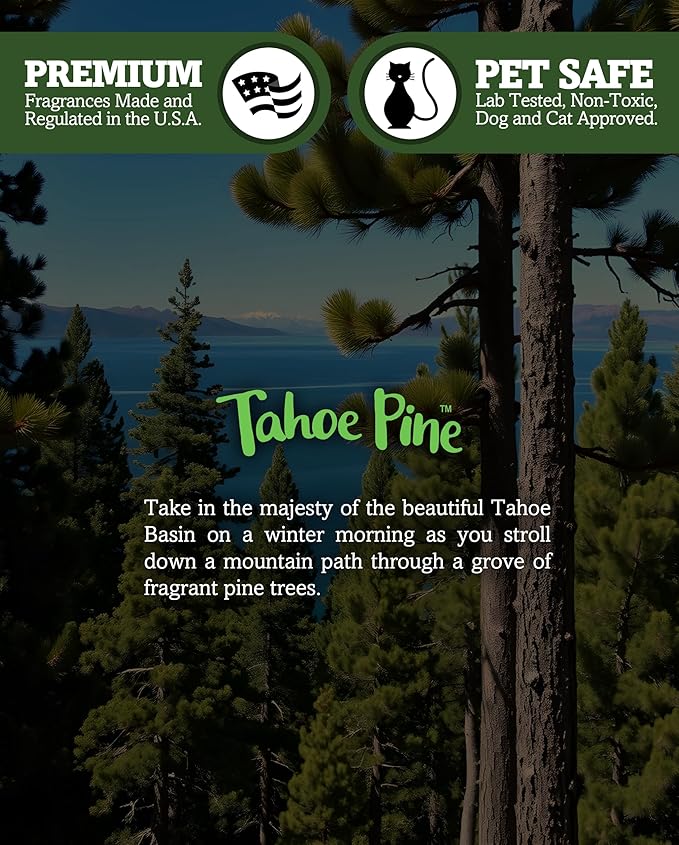 Shortie's Candle Company Tahoe Pine Premium Tealight Candles - Highly Scented with Essential & Natural Oils - 6 Green Tea Lights - Beautiful Candlelight - Made in the USA - Fresh & Clean Collection