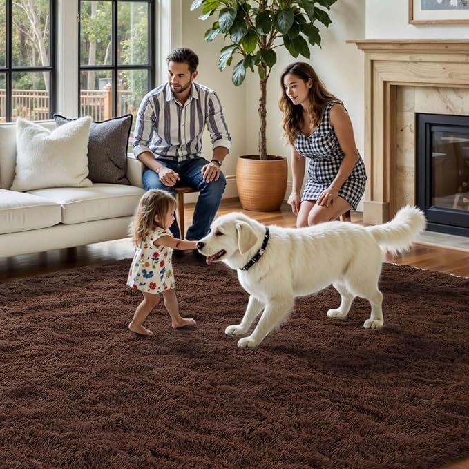 FinRèc Dark Brown Rugs for Bedroom Living Room, 4x6 Feet Fluffy Shaggy Area Rug, Non-Slip Soft Shag Rug for Nursery Kids Room Dorm Room Home Decor, Indoor Plush Floor Carpet