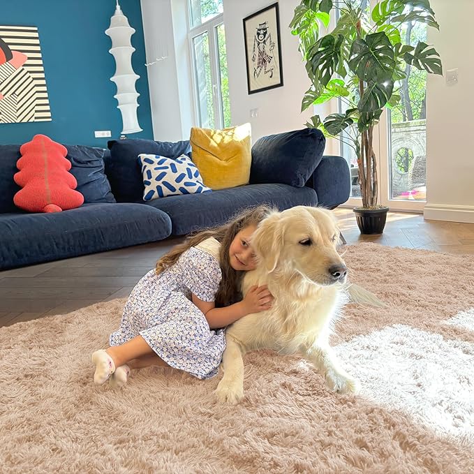 OLANLY 4x5 Machine Washable Accent Rug, Soft Fluffy Shaggy Area Rug for Bedroom, Living Room, Indoor Floor Carpet for Kids, Nursery, Home Decor, Beige