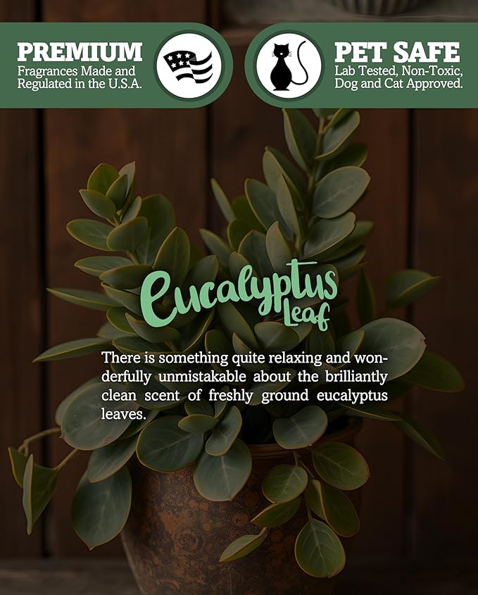 Eucalyptus Leaf Premium Tealight Candles - Highly Scented with Essential & Natural Oils - 6 Green Tea Lights - Beautiful Candlelight - Made in the USA - Fresh & Clean Collection