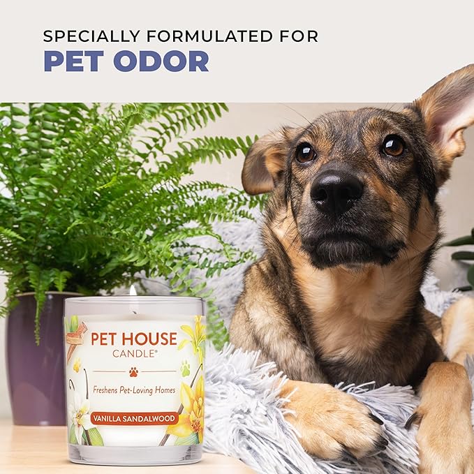 Pet House Candles, Clean Burning, Long Lasting Pet Odor Candles, Plant-Based, 60 Hour Burn Time - Tropical Fruit, 9 oz