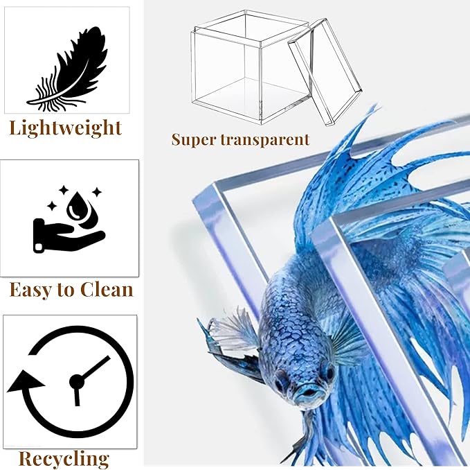KissYou Acrylic Box Large Clear Display Boxes with Lid Transparent Square Cube Acrylic Storage Box for Wedding Graduatio Party Decorations