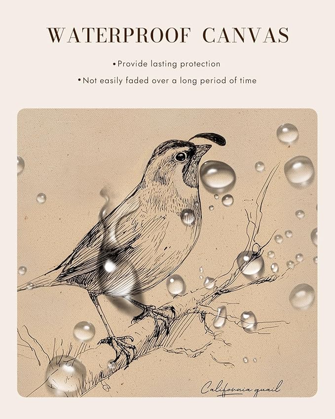 Bzstyleart Vintage Wall Art Decor for Living Room, Vintage Gold Framed Wall Art California State Bird, Framed Sketch Painting, Room Decor Aesthetic, Canvas Prints for Apartment Office, 12L x 16W