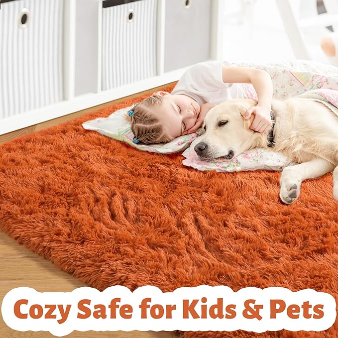 Amdrebio Burnt Orange Area Rugs for Living Room Bedroom, Fluffy Plush Furry Fuzzy Rug 5x8 for Kids Room Decor Aesthetic, Modern Cute Shag Floor Dark Orange Carpet for Nursery Dorm Classroom Playroom