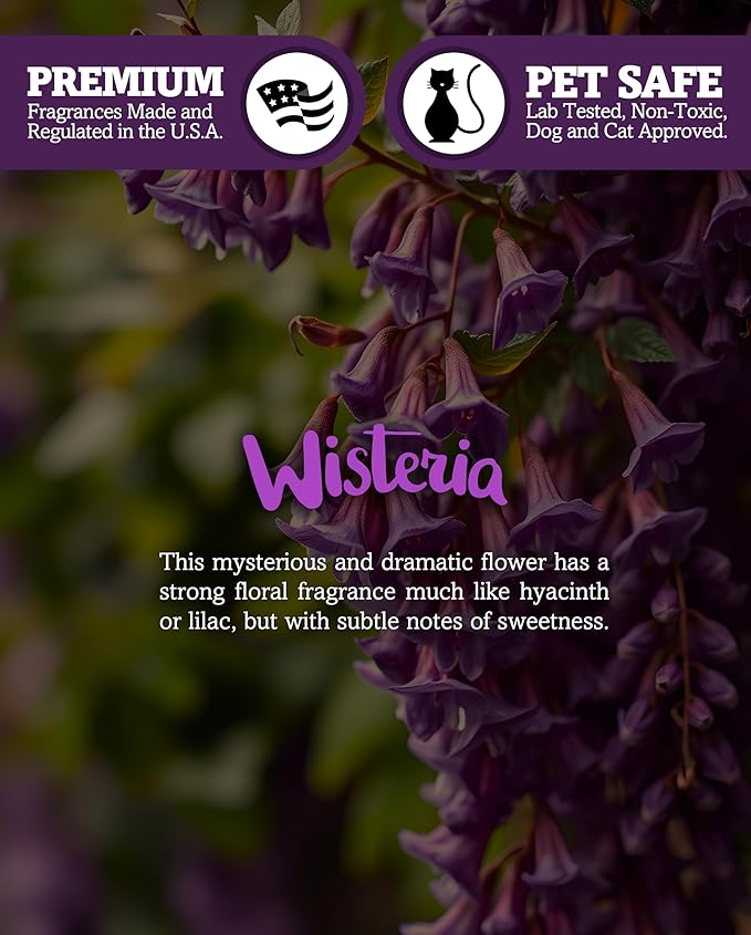Pure Wisteria Premium Tealight Candles - Highly Scented with Essential & Natural Oils - 6 Purple Tea Lights - Beautiful Candlelight - Made in the USA - Flower & Floral Collection