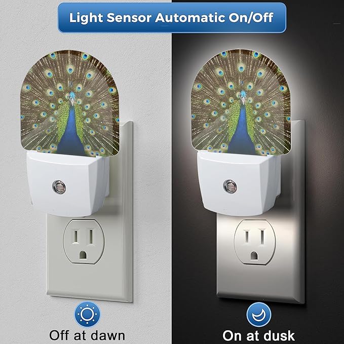 The Peacock Opens Night Light, Night Lights Plug Into Wall Home Indoor Stairway Kitchen Corridor,Boys Girls Women Men Room Gifts