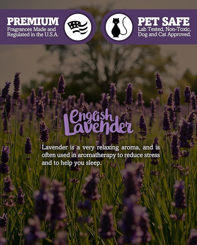 Pure English Lavender Premium Tealight Candles - Highly Scented with Essential & Natural Oils - 6 Purple Tea Lights - Beautiful Candlelight - Made in the USA - Flower & Floral Collection