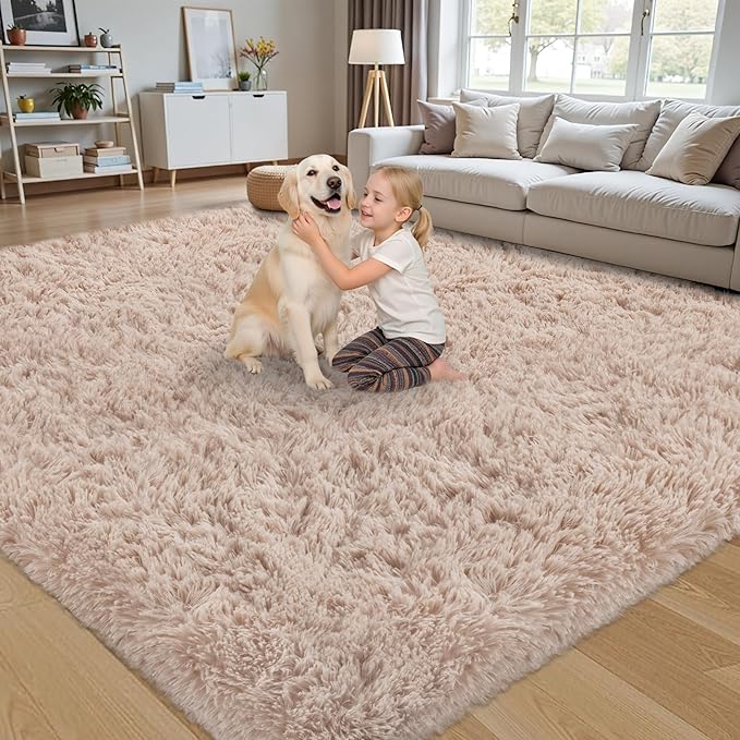 4x6 Area Rug for Living Room:Ultra Soft Fluffy Shag Beige Rugs,Large Fuzzy Plush Indoor Non Slip Carpet Washable Rug for Bedroom Kids Nursery Office Dorm Modern Decor(Beige 4'x6')