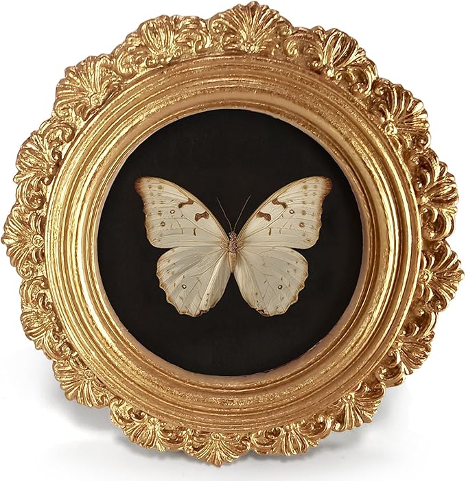 Small Vintage White Butterfly Round Picture Frame Wall Decor, Dark Insect Gold Mini Ornate Photo Frame for TableTop Desk 2.7in Photo, Gothic Framed Artwork for Walls Office Bedroom Shelf