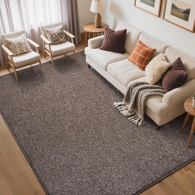FinRèc Low Pile 5x7 Washable Area Rugs for Bedroom Living Room, Thin Rug Solid Color, Non-Slip Carpet Indoor for Home Decor (Brown/White)