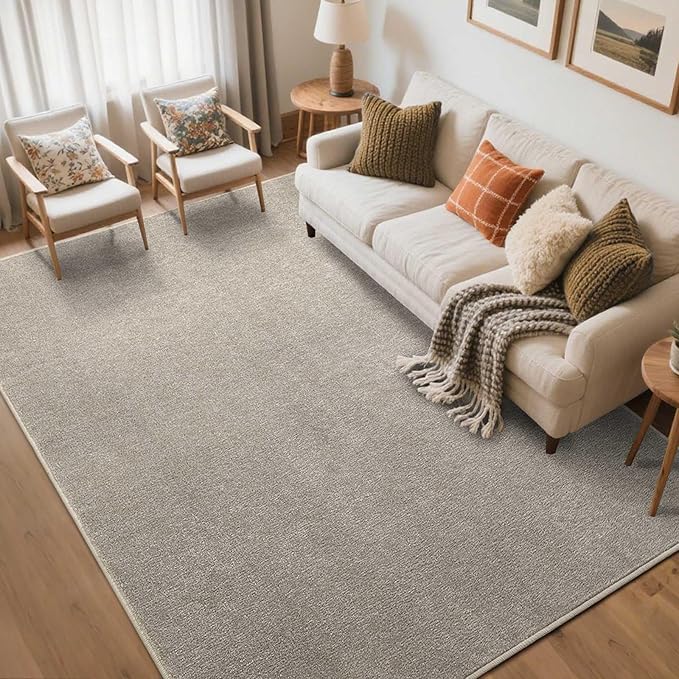 FinRèc Low Pile 5x7 Area Rugs for Bedroom Living Room, Thin Rug Solid Color, Non-Slip Carpet Indoor for Home Decor (Greige/White)