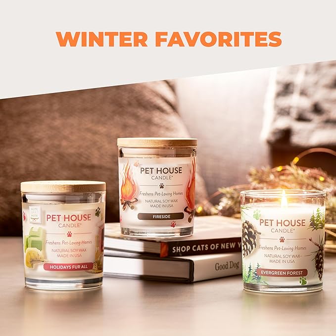 One Fur All Pet House Fall Candles, Long Lasting, Clean Burning, Soy Wax Scented Candles for Pet Odor, Orange Spice