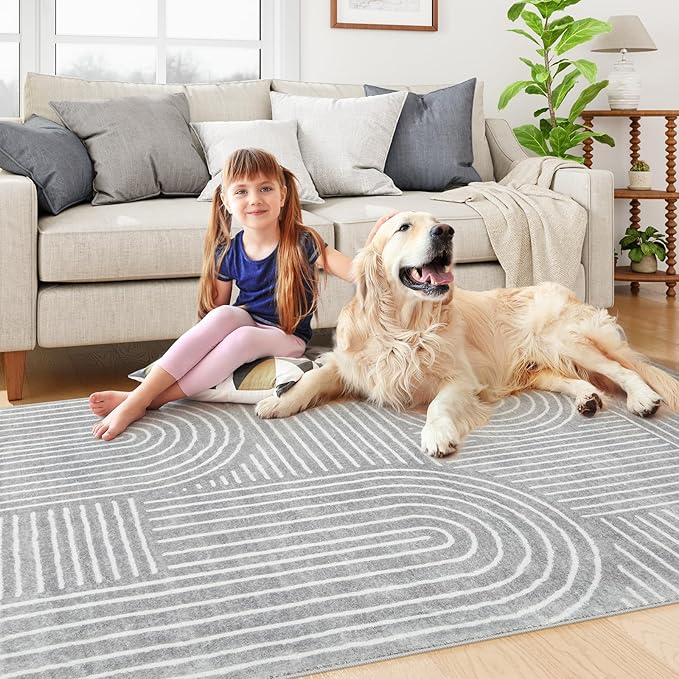 Lahome Abstract Area Rug 5x7,Soft Washable Rugs for Living Room Ultra-Thin Non Slip Gray Rugs for Bedroom, Throw Rug Carpet for Dining Room Office Playroom Darrell (5'x7',Gray)