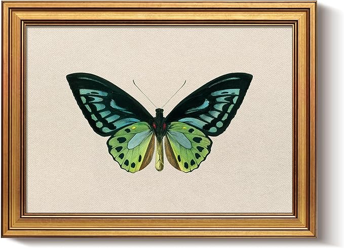 Bzstyleart Vintage Wall Art Decor, Vintage Gold Framed Wall Art, Green Butterfly Frmaed Artwork for Office, Aesthetic Canvas Picture Print, Painting for Bedroom Living Bathroom, 12 x 16 Inch