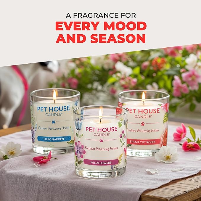 One Fur All Pet Candle 9 OZ Plant-Based Air Freshening Candle, Clean Burning and Long Lasting with a 60 Hour Burn Time - Candy Cane