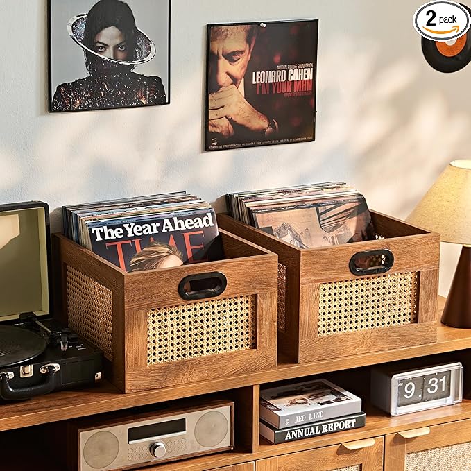 LELELINKY 2 Pack Vinyl Record Storage Crates, Rattan Vinyl Record Holder with Handle, TeaC Record Crate for Vinyls Holder up to 75 LP's, Desktop Cube Album Storage for Vinyls Records