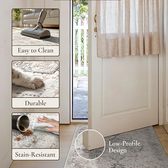 GENIMO Area Rug 32x48 inch Doormat, Machine Washable Low Pile Rugs, Small Retro Chenille Entryway Mat for Entrance, Hallway, Kitchen and Corridor, Light Taupe Brown