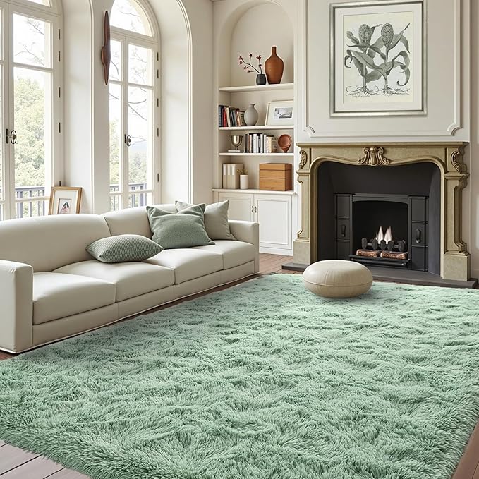 FinRèc Light Green Rug for Bedroom Living Room, 4x6 Feet Fuzzy Shaggy Area Rug, Non-Slip Fluffy Furry Rugs for Kids Room Dorm Room Home Decor, Indoor Plush Floor Carpet