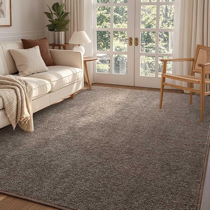 FinRèc 4x6 Washable Area Rugs for Bedroom Living Room, Low Pile Thin Rug Solid Color, Non-Slip Carpet Indoor for Home Decor (Brown/White)