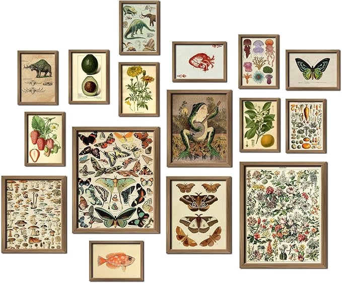 ANERZA 16 PCS Framed Vintage Wall Art Decor, Botanical Cottagecore Wall Prints for Bedroom, Gallery Wall Frame Set, Farmhouse Posters for Living Room Aesthetic, Rustic Dorm Home Collage Kit