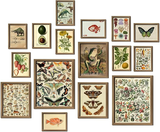 ANERZA 16 PCS Framed Vintage Wall Art Decor, Botanical Cottagecore Wall Prints for Bedroom, Gallery Wall Frame Set, Farmhouse Posters for Living Room Aesthetic, Rustic Dorm Home Collage Kit