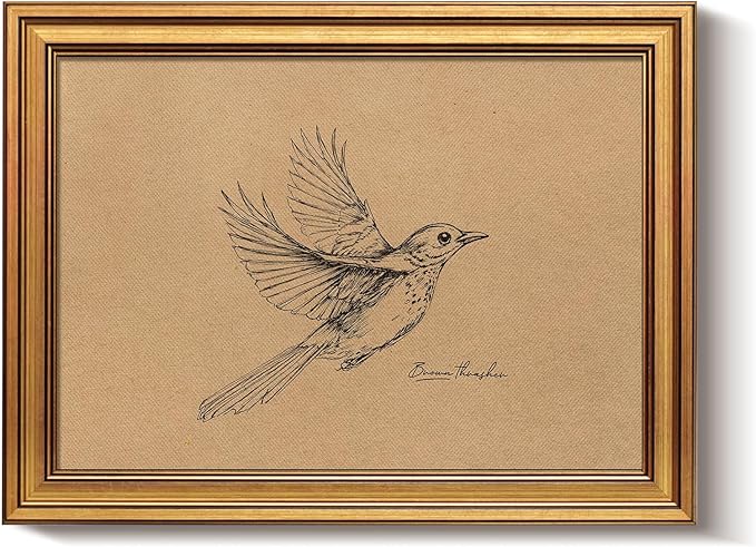 Bzstyleart Vintage Wall Art Decor, Vintage Gold Framed Wall Art, Sketch Painting Picture, Room Decor Aesthetic, Canvas Travel Prints for Apartment Decor Kitchen Office, Georgia Bird 12L x 16W