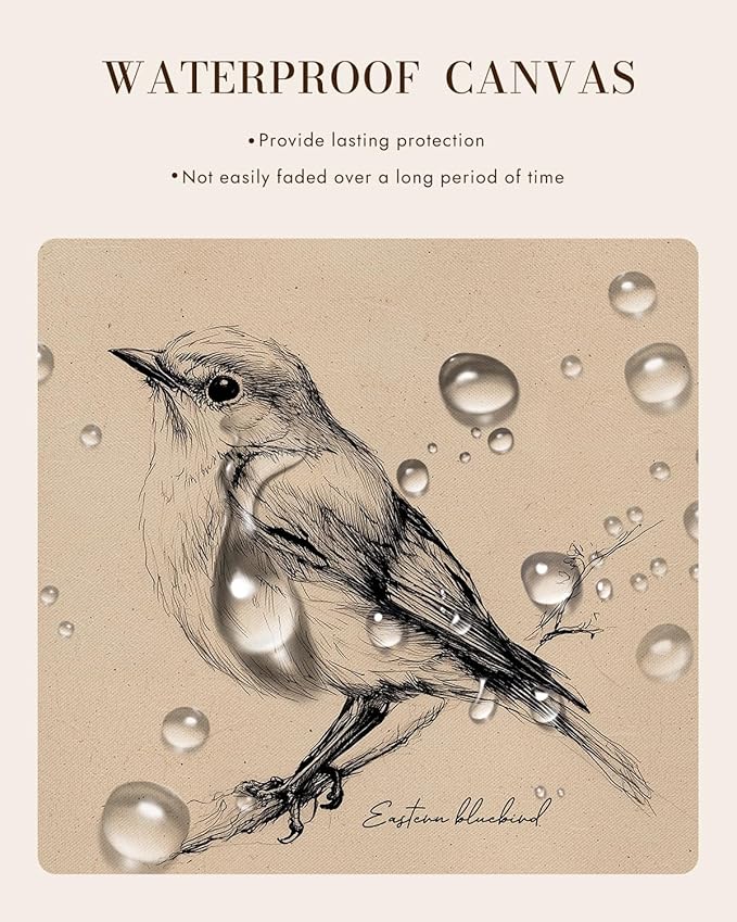 Bzstyleart Vintage Wall Art Decor for Living Room, Framed Vintage Bird Wall Art Canvas Prints Home Decor Aesthetic, Sketch Painting Picture for Bedroom Kitchen, New York State, 12L x 16W