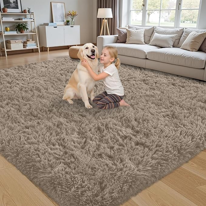 4x6 Area Rug for Living Room:Ultra Soft Fluffy Shag Grey Camel Rugs,Large Fuzzy Plush Indoor Non Slip Carpet Washable Rug for Bedroom Kids Nursery Office Dorm Modern Decor(Grey Camel 4'x6')