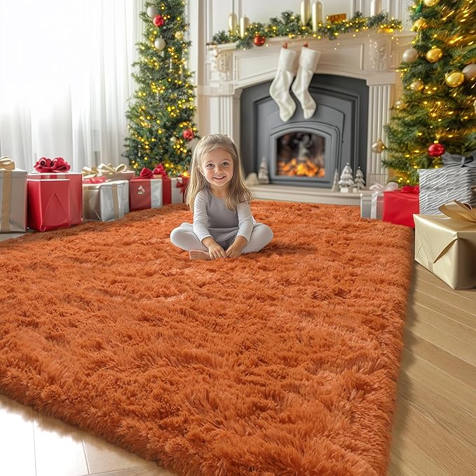 Amdrebio Burnt Orange Area Rugs for Bedroom Living Room Decor, Shag Plush Fluffy Furry Rug 4x6 for Kids Room Aesthetic, Small Cute Fuzzy Shaggy Dark Orange Carpet for Nursery Dorm Classroom Playroom