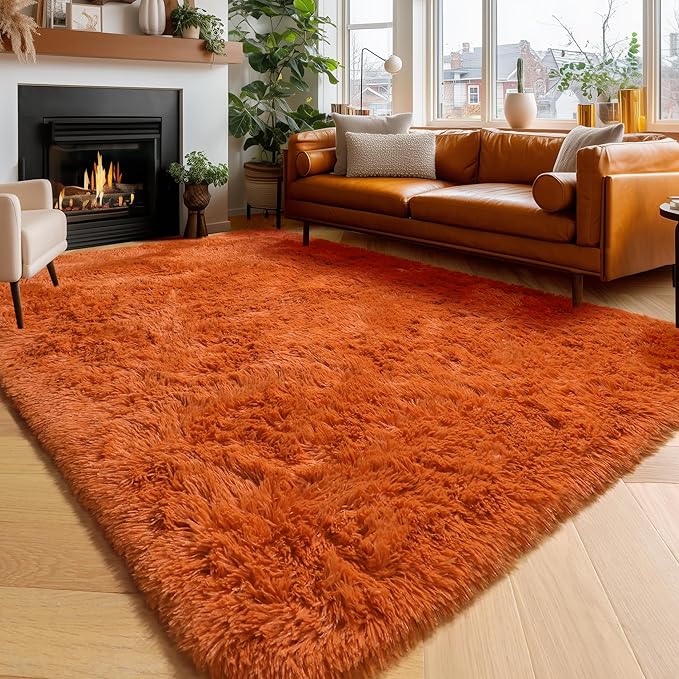 Amdrebio Burnt Orange Area Rugs for Living Room Bedroom, 6x9 Shaggy Furry Fuzzy Fluffy Rug for Kids Room Decor Aesthetic, Large Cute Plush Shag Dark Orange Carpet for Nursery Dorm Classroom Playroom