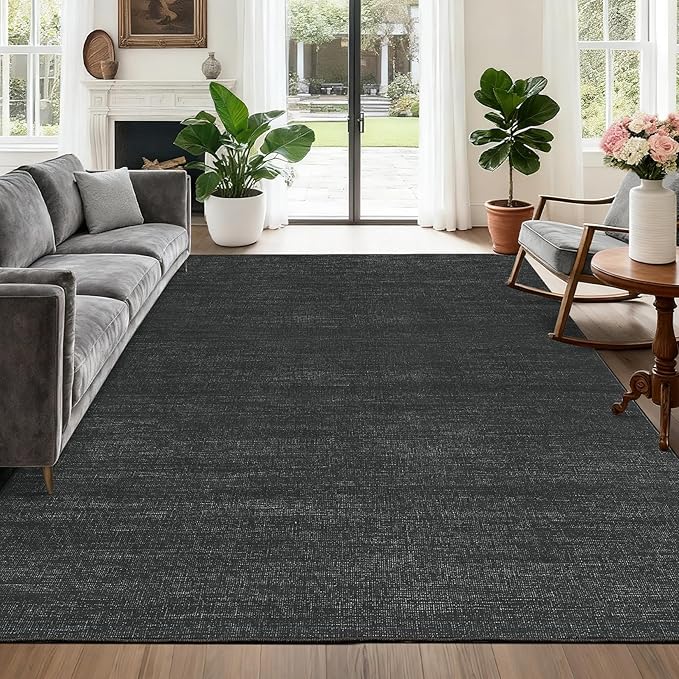 Area Rug 4x6 Washable Bedroom Rugs Non Slip Modern Solid Color Large Living Room Throw Carpet Low Pile Minimalist Kitchen Rug Plain Accent Rug Mat Classic Boho Area Rugs for Nursery Entryway, Black
