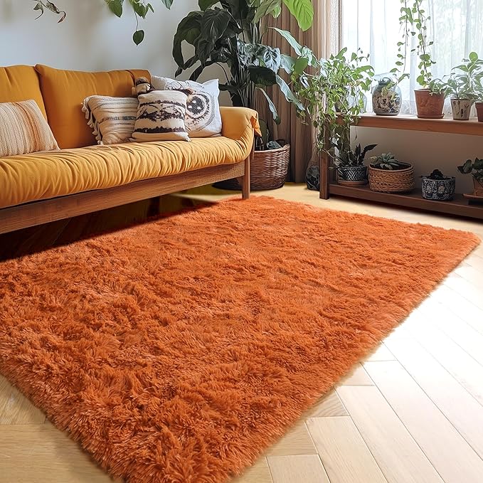 Amdrebio Burnt Orange Area Rugs for Bedroom Living Room Decor, Shag Plush Fluffy Furry Rug 4x6 for Kids Room Aesthetic, Small Cute Fuzzy Shaggy Dark Orange Carpet for Nursery Dorm Classroom Playroom