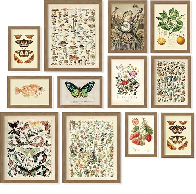 97 Decor 12 Pcs Cottagecore Wall Art Set - Vintage Posters For Room Aesthetic, Botanical Gallery Wall Prints For Bedroom, Cottage Core Room Decor For Home, Dorm, Living Room (Unframed)