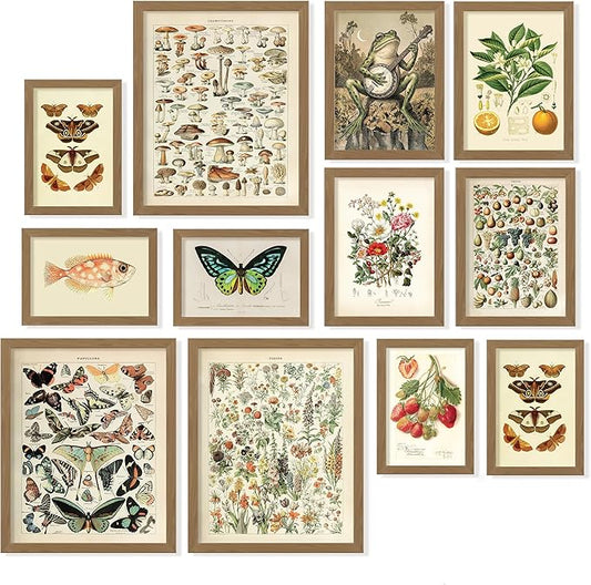 97 Decor 12 Pcs Cottagecore Wall Art Set - Vintage Posters For Room Aesthetic, Botanical Gallery Wall Prints For Bedroom, Cottage Core Room Decor For Home, Dorm, Living Room (Unframed)