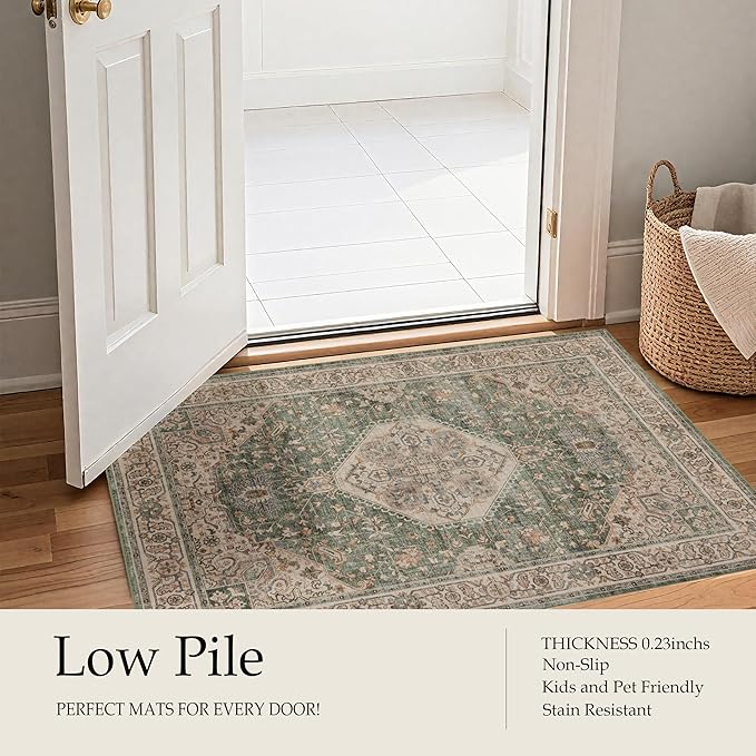 Ruaruarug Area Rug Non Slip Machine Washable Ultra Soft Living Room/Bedroom/Kitchen/Outdoor/Classroom Celadon, 8'×10'