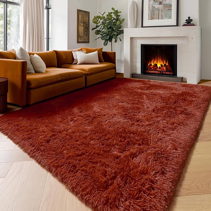 Amdrebio Terracotta Rust Area Rugs for Bedroom Living Room, 6x9 Shaggy Furry Fuzzy Fluffy Rug for Kids Room Decor Aesthetic, Large Cute Plush Shag Rustic Carpet for Nursery Dorm Classroom Playroom