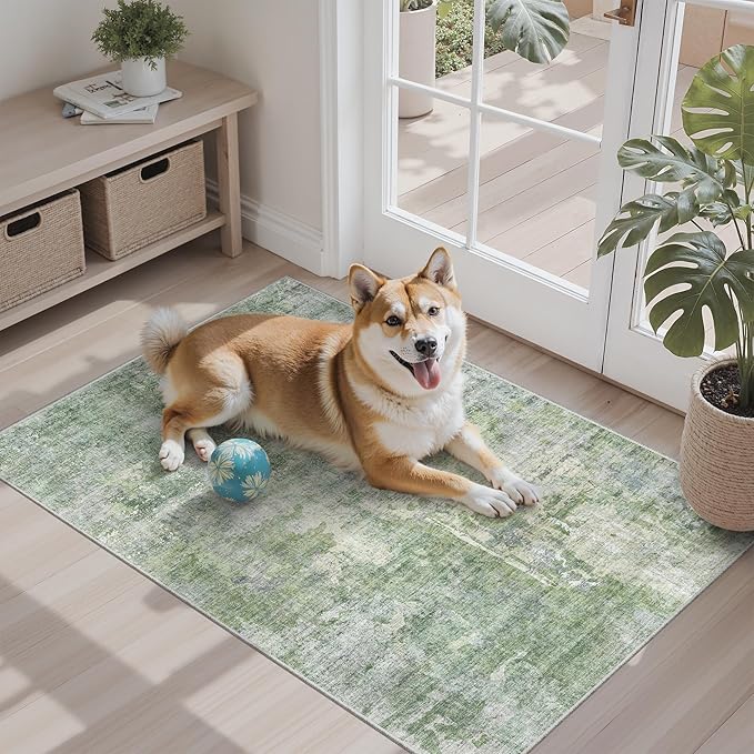 Soalmost 2x3 Abstract Washable Rugs for Kitchen, Floor, Entryway, Powder Room Small Area Rug Non-Slip Vintage Low Pile Throw Door Mat Green Ivory