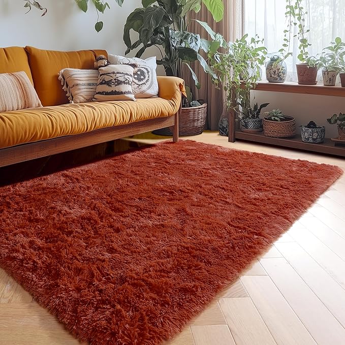 Amdrebio Terracotta Rust Area Rugs for Bedroom Kids Room, Fluffy Fuzzy Shaggy Furry Small Rug 3x5 for Living Room Decor Aesthetic, Cute Plush Shag Rustic Carpet for Dorm Nursery Classroom Playroom