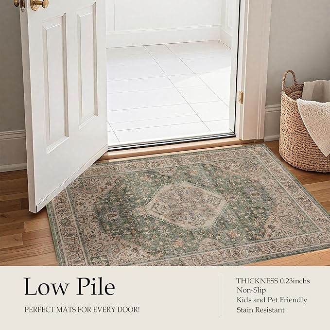 Ruaruarug Area Rug Non Slip Machine Washable Ultra Soft Living Room/Bedroom/Kitchen/Outdoor/Classroom Celadon, 5'×7'