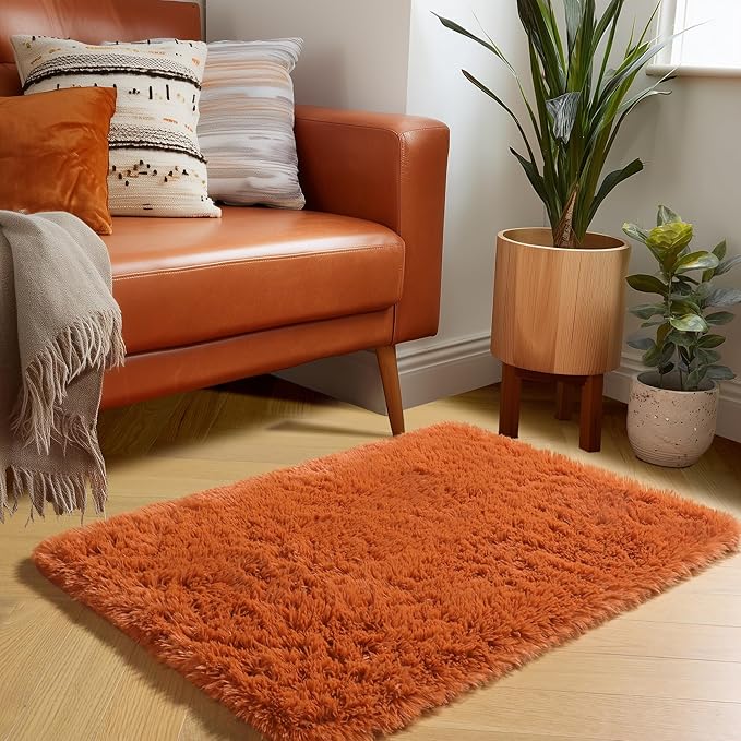 Amdrebio Burnt Orange 2x3 Small Area Rugs for Bedroom, Mini Fluffy Fuzzy Shaggy Furry Rug for Kids Room Decor Aesthetic, Cute Plush Shag Dark Orange Carpet for Door Entryway Nursery Dorm Classroom