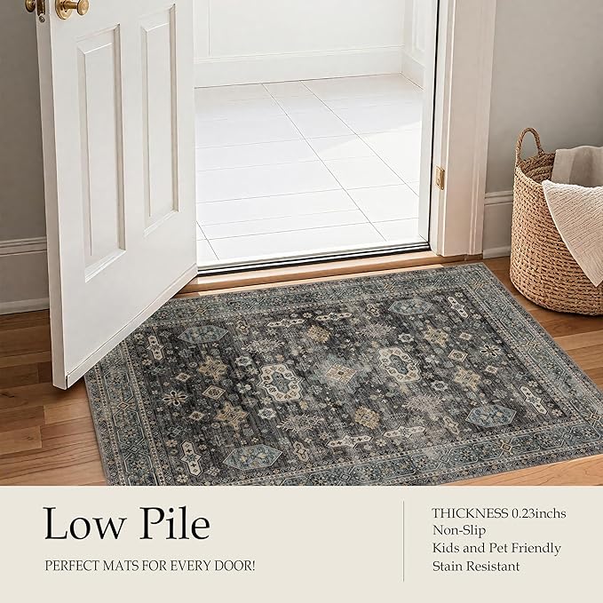 Ruaruarug Area Rug Non Slip Machine Washable Ultra Soft Living Room/Bedroom/Kitchen/Outdoor/Classroom Silver, 2'×6'