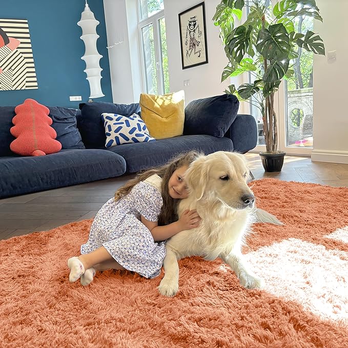 OLANLY 6x9 Machine Washable Large Area Rugs for Living Room, Bedroom, Soft Fluffy Shaggy Bedside Rug, Indoor Floor Carpet for Kids Girls and Boys, Dorms, Nursery, Home Decor Aesthetic, Muted Orange