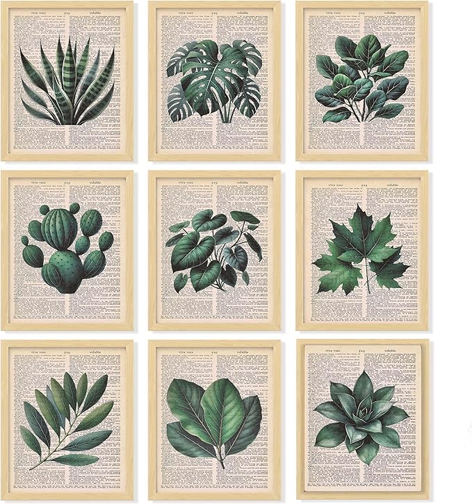97 Decor Vintage Botanical Wall Art - Plant Posters For Room Aesthetic, Green Plant Pictures Wall Decor, Nature Prints Tropical Leaves Artwork For Home Bedroom Office Decorations (8x10 Unframed)