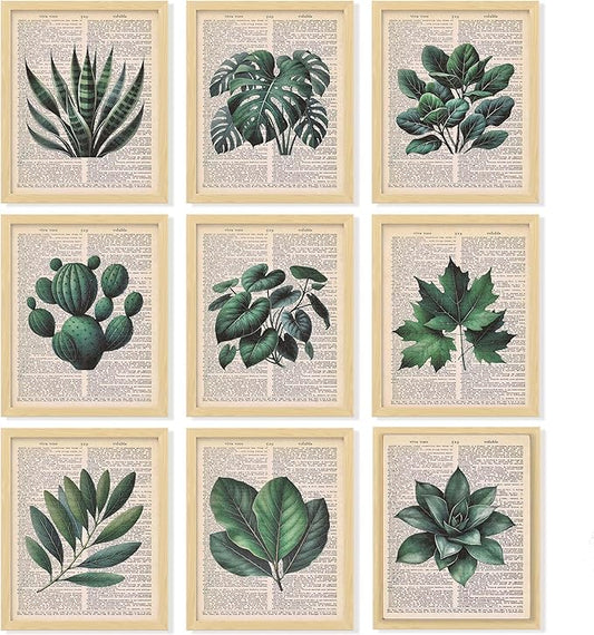 97 Decor Vintage Botanical Wall Art - Plant Posters For Room Aesthetic, Green Plant Pictures Wall Decor, Nature Prints Tropical Leaves Artwork For Home Bedroom Office Decorations (8x10 Unframed)